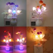 মাসরুম লজ্জাবতী ড্রীম লাইট দুই পিছ ৪৯৯ টাকা